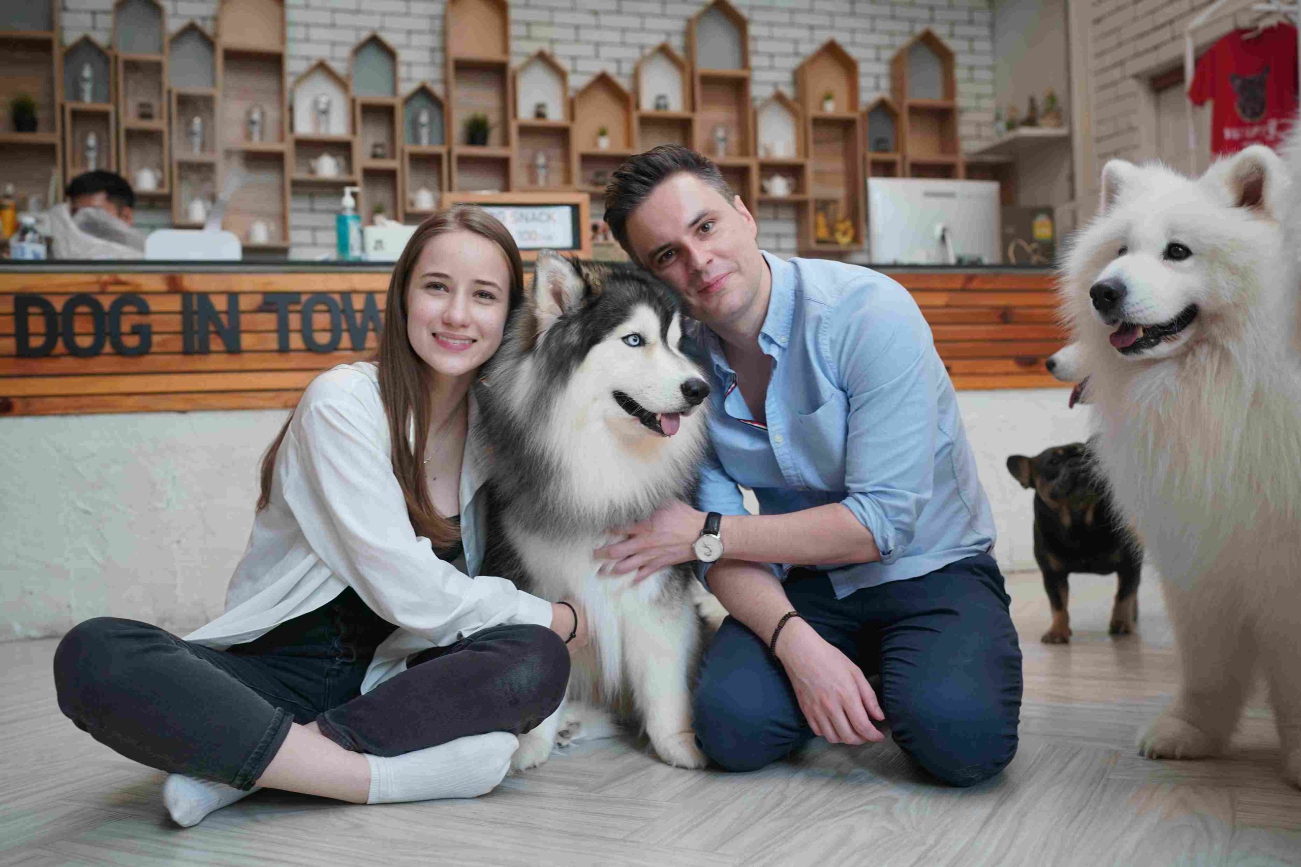 Building Safer, Well-Mannered Pets for City Living